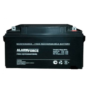 Аккумулятор AlarmForce 12V 65Ah FB 65-12 