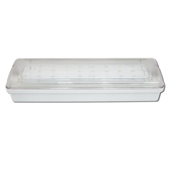 SL-213-30LED1.8 IP-65 исп. 1 Элтех-Сервис Светильник аварийного освещения