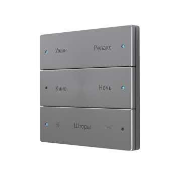 Scene Switch 6 (FS-BT6-Grey) IRidium Выключатель сценарный