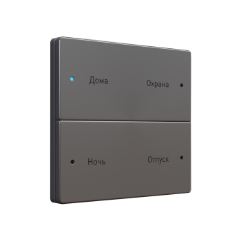 Scene Switch 4 (FS-BT4-Silver) IRidium Выключатель сценарный